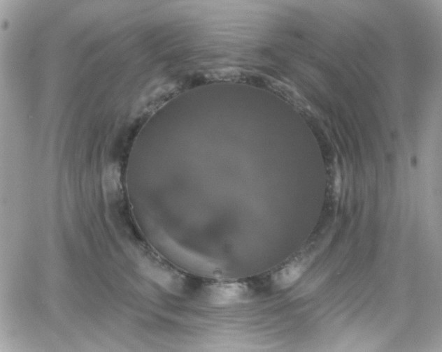 X0000066970711200603271208