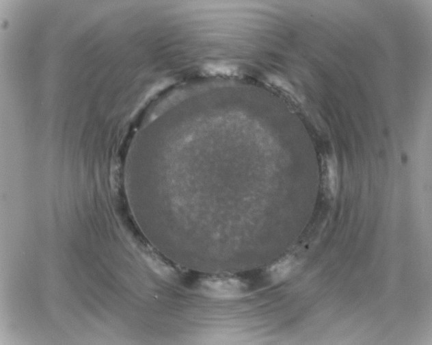 X0000066970712200603271208