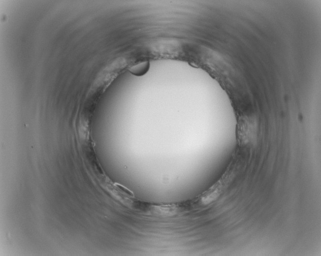 X0000066970713200603271208