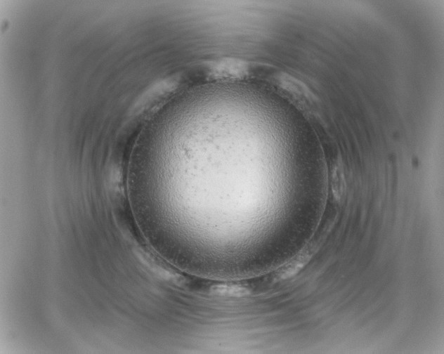 X0000066970714200603271208