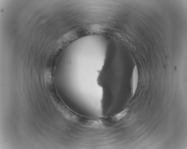 X0000066970715200603271208