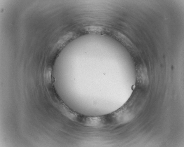 X0000066970717200603271208