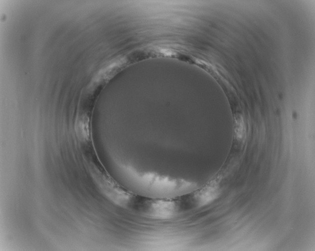 X0000066970718200603271208