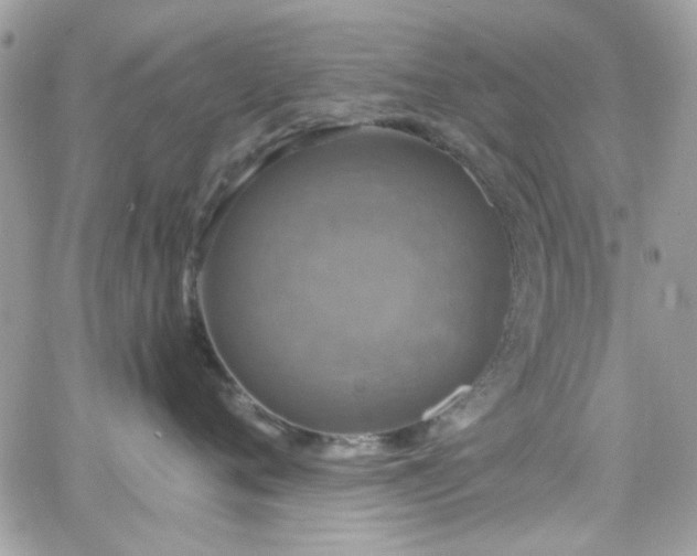 X0000066970720200603271208