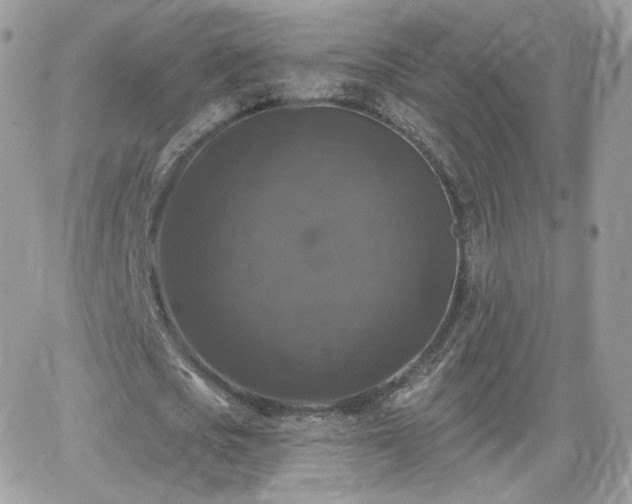 X0000066970721200603271207