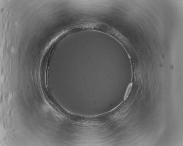 X0000066970722200603271207