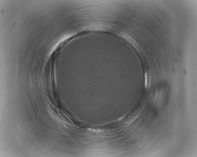 X0000066970723200603271207