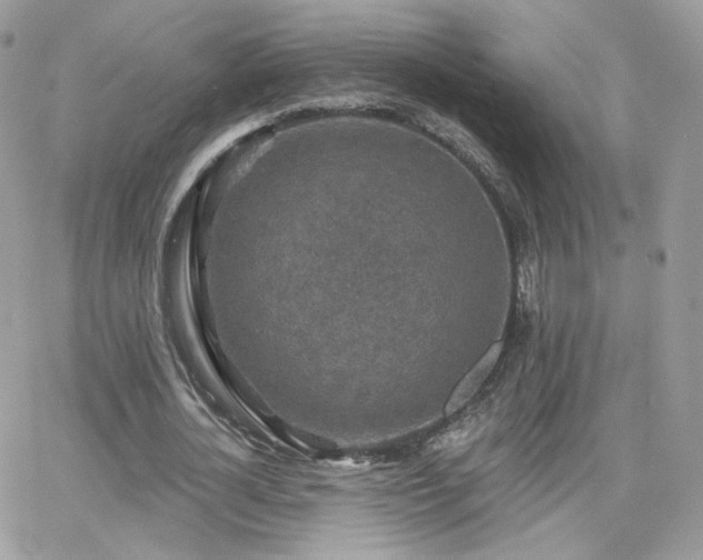 X0000066970724200603271207