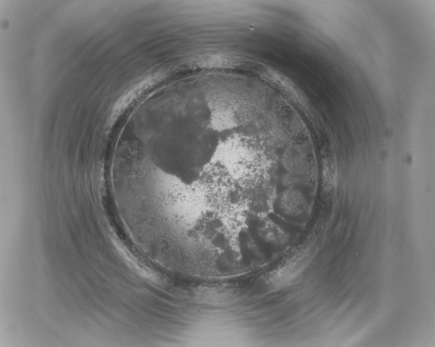 X0000066970725200603271207