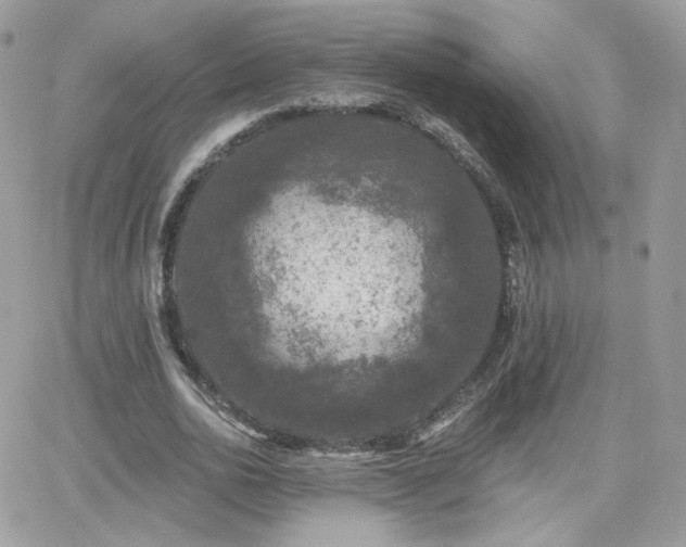 X0000066970726200603271207