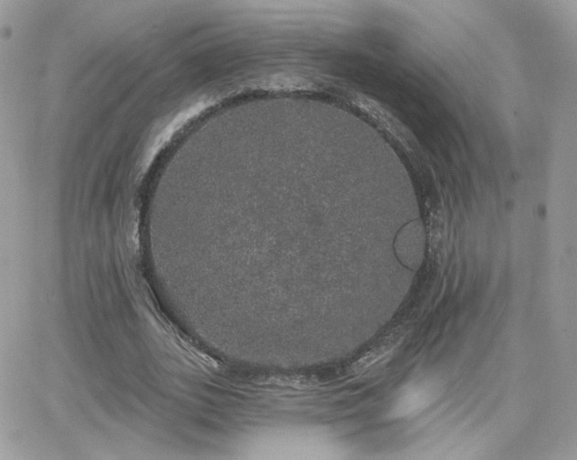 X0000066970727200603271207