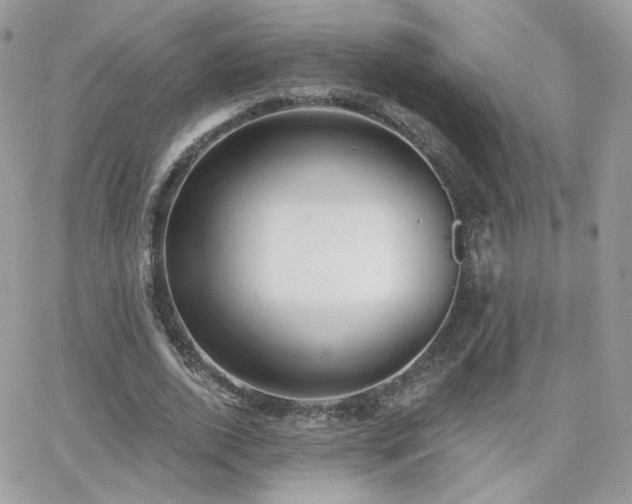 X0000066970728200603271207