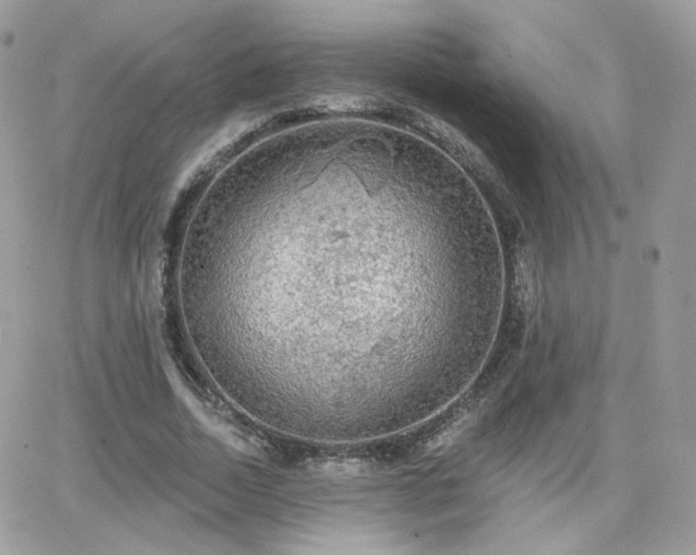 X0000066970730200603271207