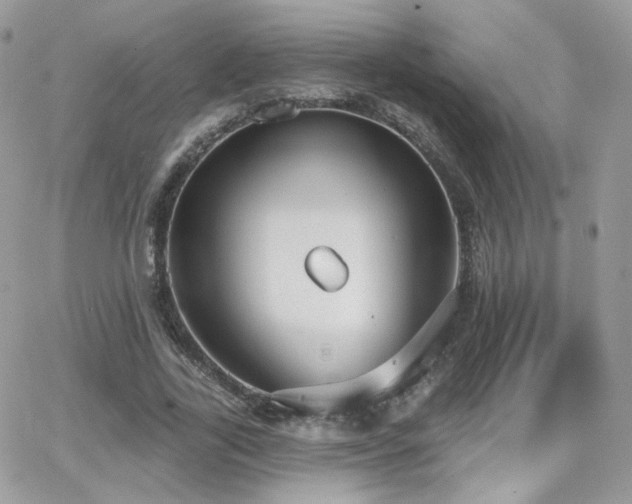 X0000066970731200603271207