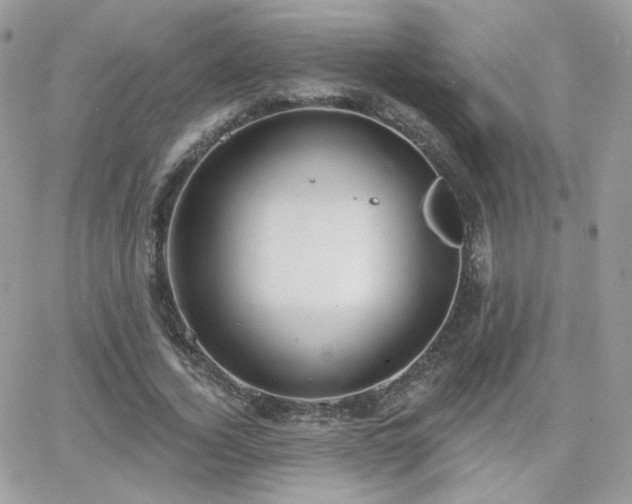 X0000066970732200603271207