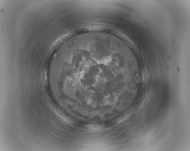 X0000066970733200603271207