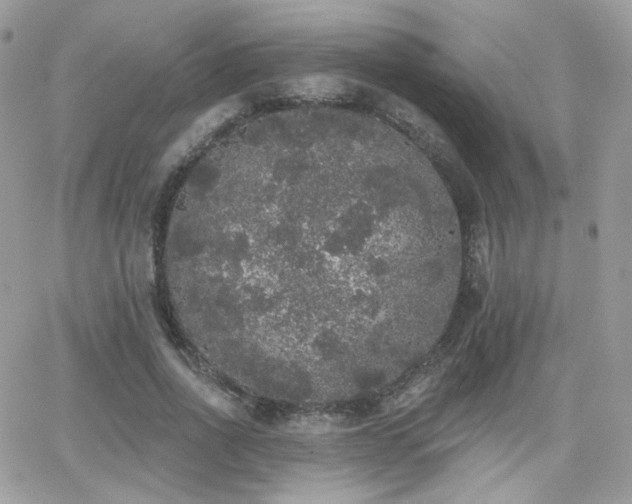 X0000066970734200603271207