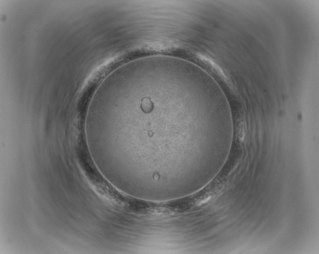 X0000066970736200603271207