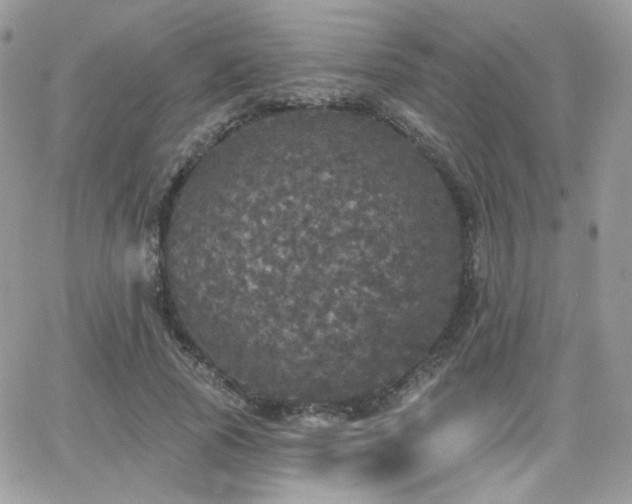 X0000066970737200603271207