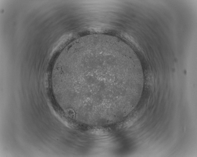 X0000066970738200603271207