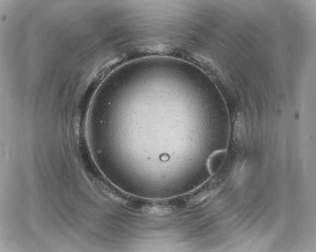 X0000066970739200603271207