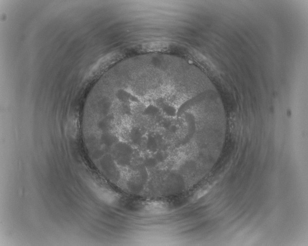 X0000066970741200603271207