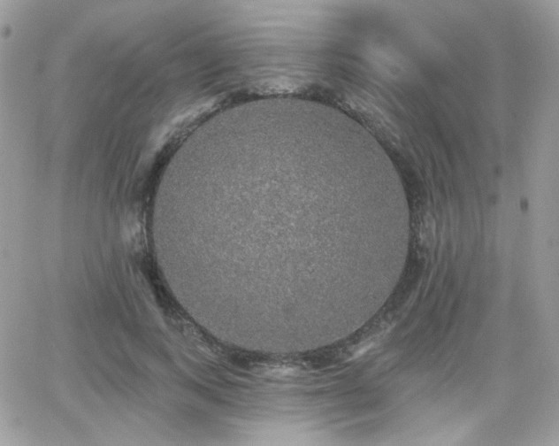 X0000066970743200603271207