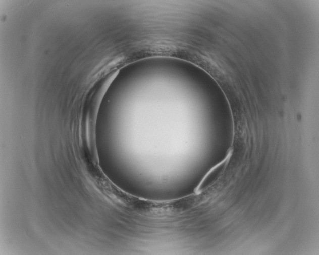 X0000066970744200603271207