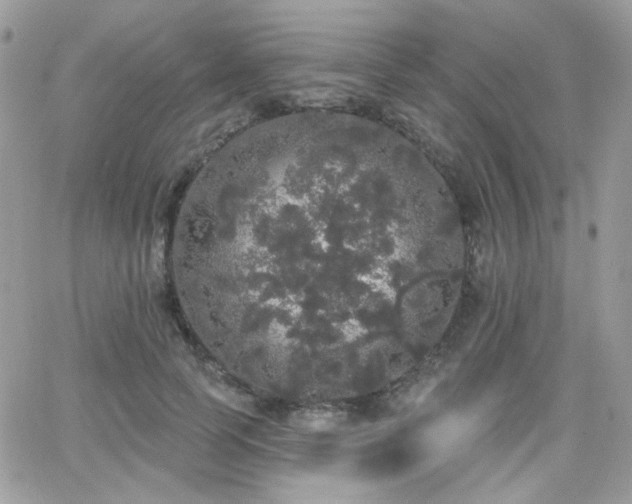 X0000066970745200603271207