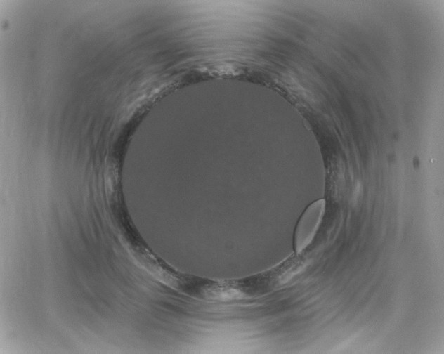 X0000066970747200603271207