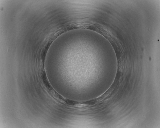 X0000066970748200603271208