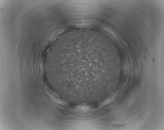 X0000066970749200603271208