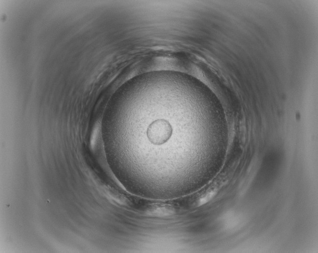 X0000066970750200603271208