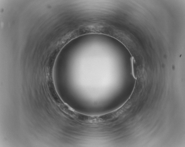 X0000066970752200603271208