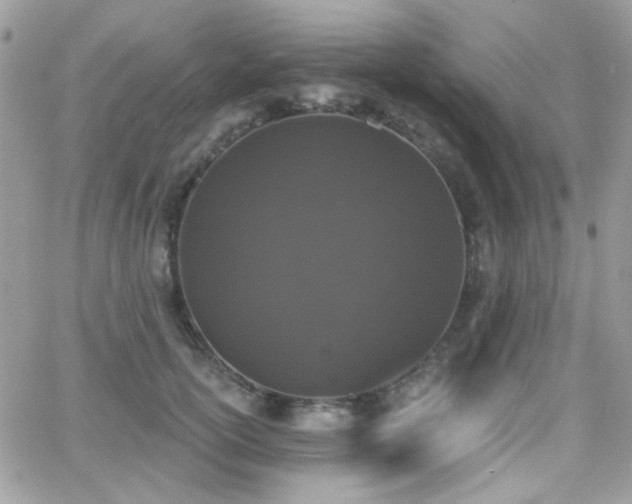 X0000066970754200603271208