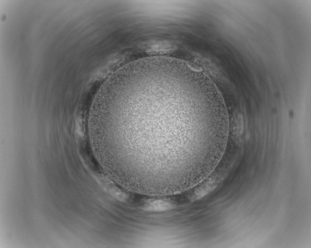 X0000066970755200603271208