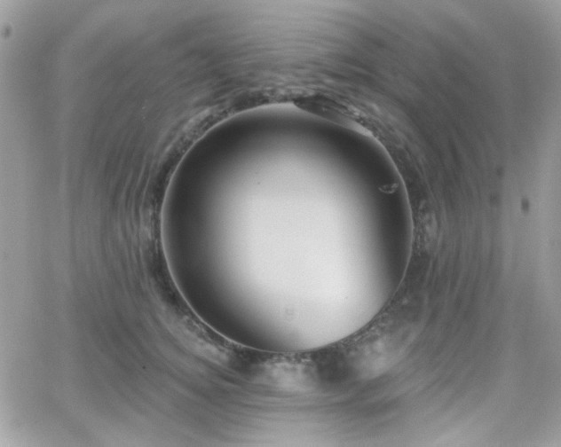 X0000066970756200603271208