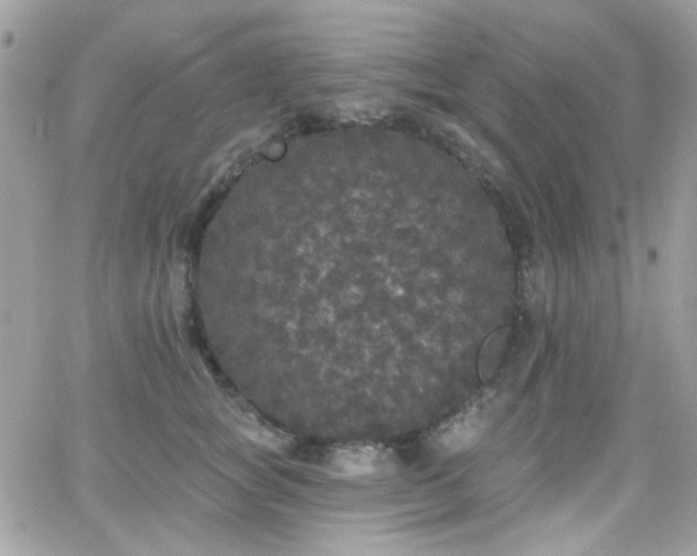 X0000066970757200603271208