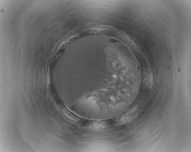 X0000066970758200603271208