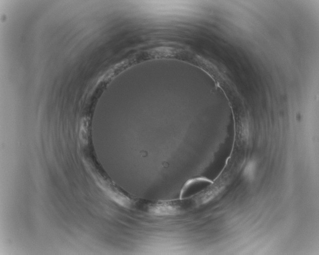 X0000066970759200603271208