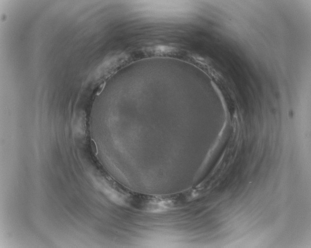 X0000066970760200603271208