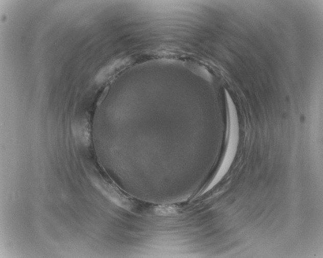 X0000066970762200603271208