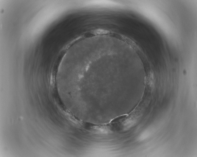 X0000066970763200603271208