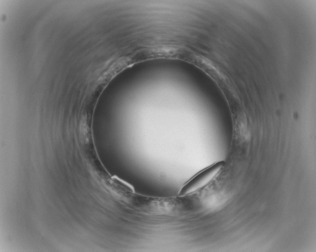 X0000066970764200603271208