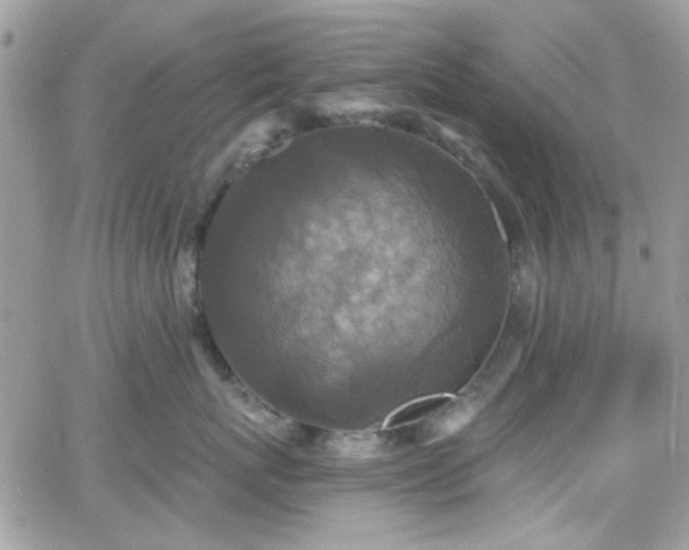 X0000066970767200603271208