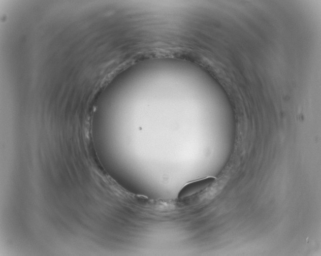 X0000066970768200603271208