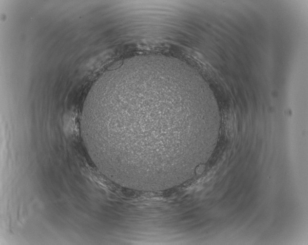 X0000066970770200603271207