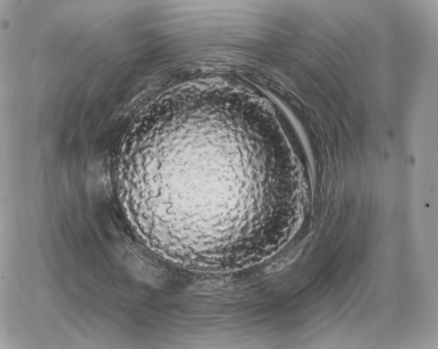 X0000066970771200603271207