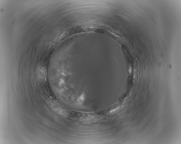 X0000066970772200603271207