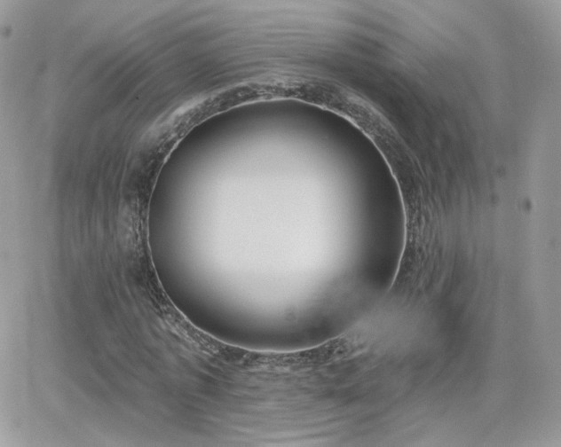 X0000066970773200603271207